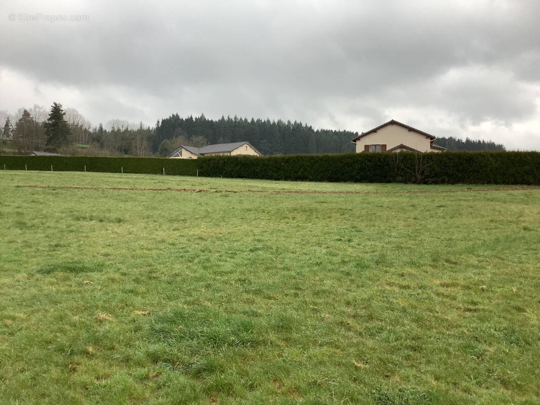 Terrain à TENCE