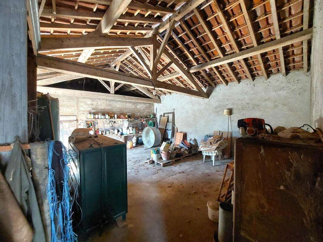 20250305144634 - Maison à BOULOGNE-SUR-GESSE