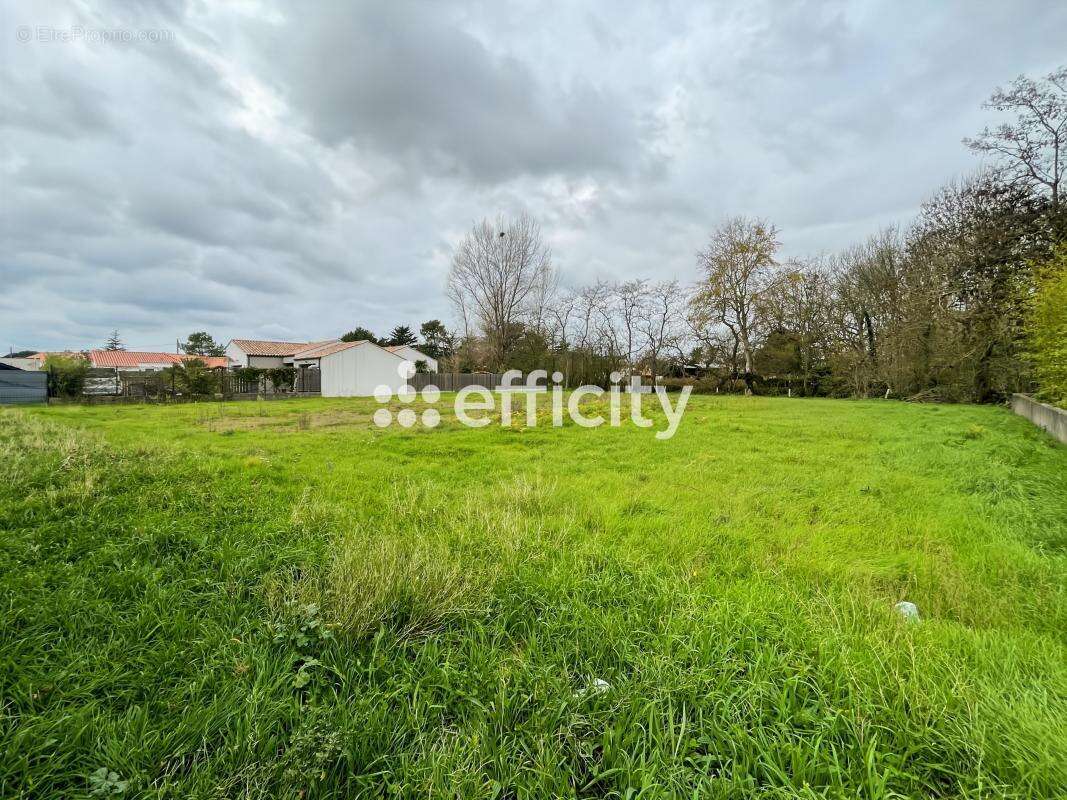 Terrain à SAINT-JEAN-DE-MONTS
