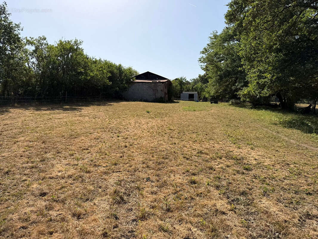 HAUTE VIENNE - Ancienne ferme avec 6 hectares de terrain - photo 16