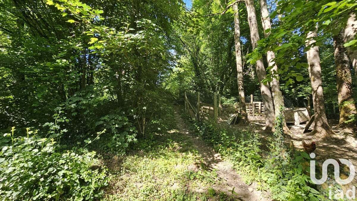 Photo 7 - Maison à CHEZY-SUR-MARNE