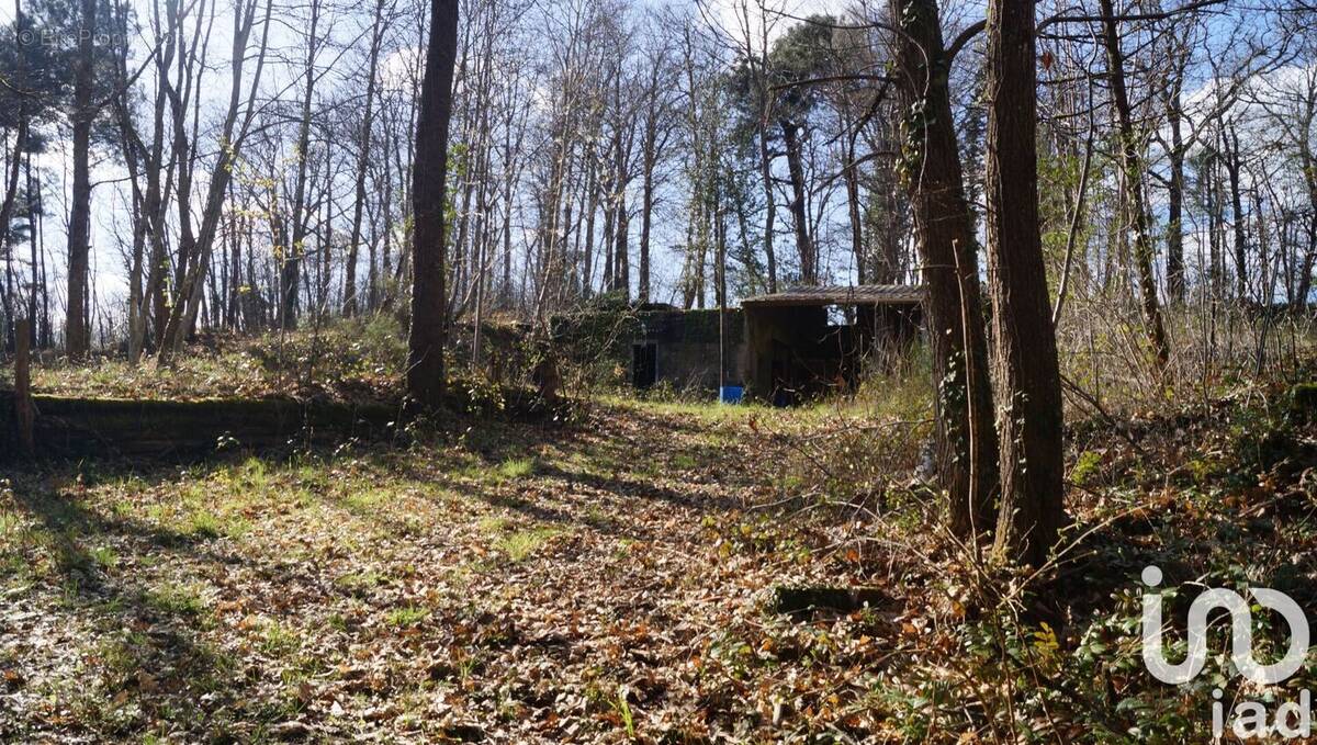 Photo 1 - Terrain à YVRE-LE-POLIN