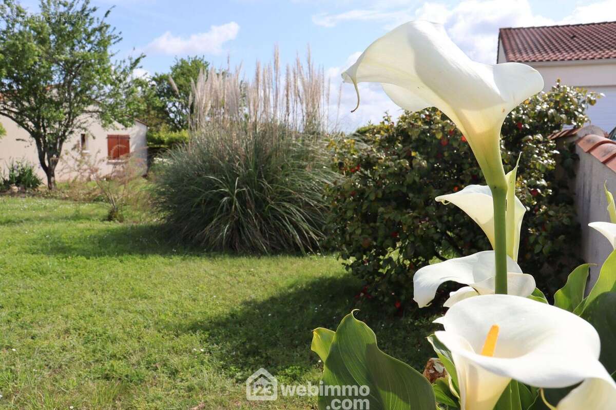 Beau terrain constructible déjà arboré. - Terrain à SAINT-VINCENT-SUR-JARD