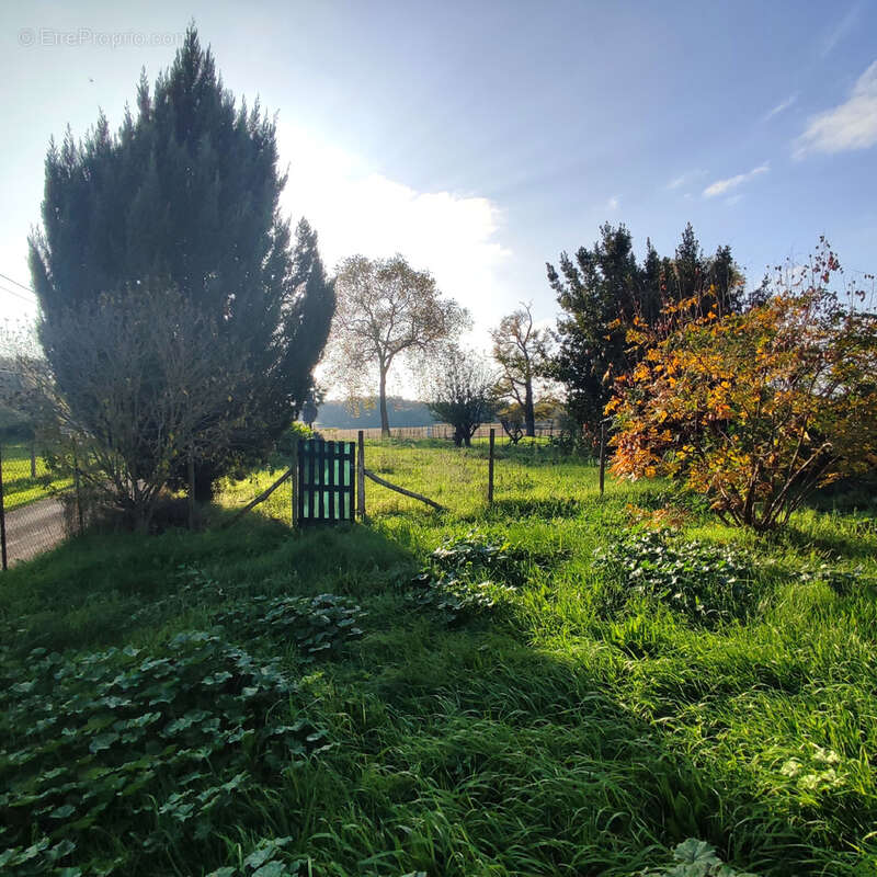 Maison à BRIZAMBOURG