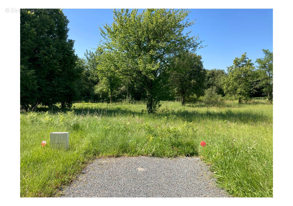 Terrain à SAINT-VAIZE