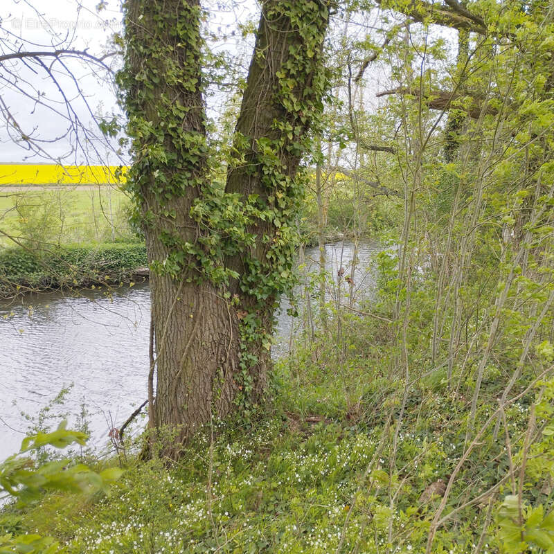 Terrain à TRIZAY-LES-BONNEVAL