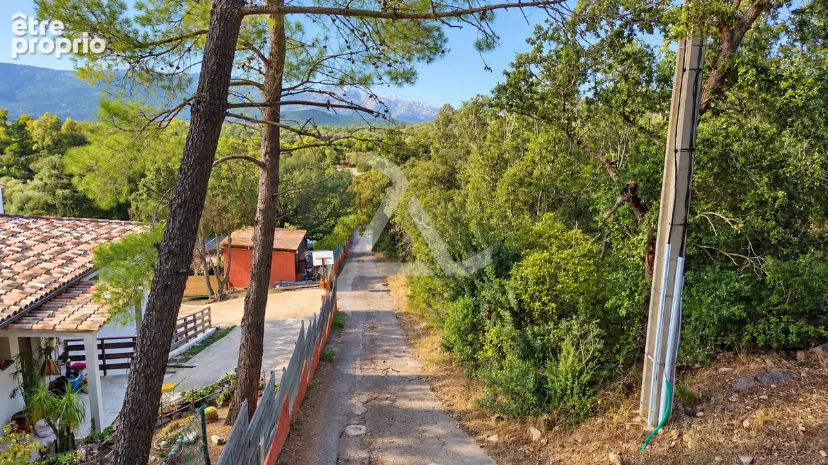 À seulement 3 min de porto-vecchio   terrain de 18 830 m2 avec pc purgé pour villa de 195 m2 avec piscine - photo 2