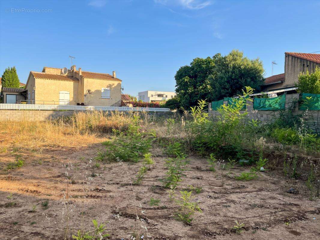 Vente terrain constructible à Marseillan d'environ 350m², non viabilisée - photo 2