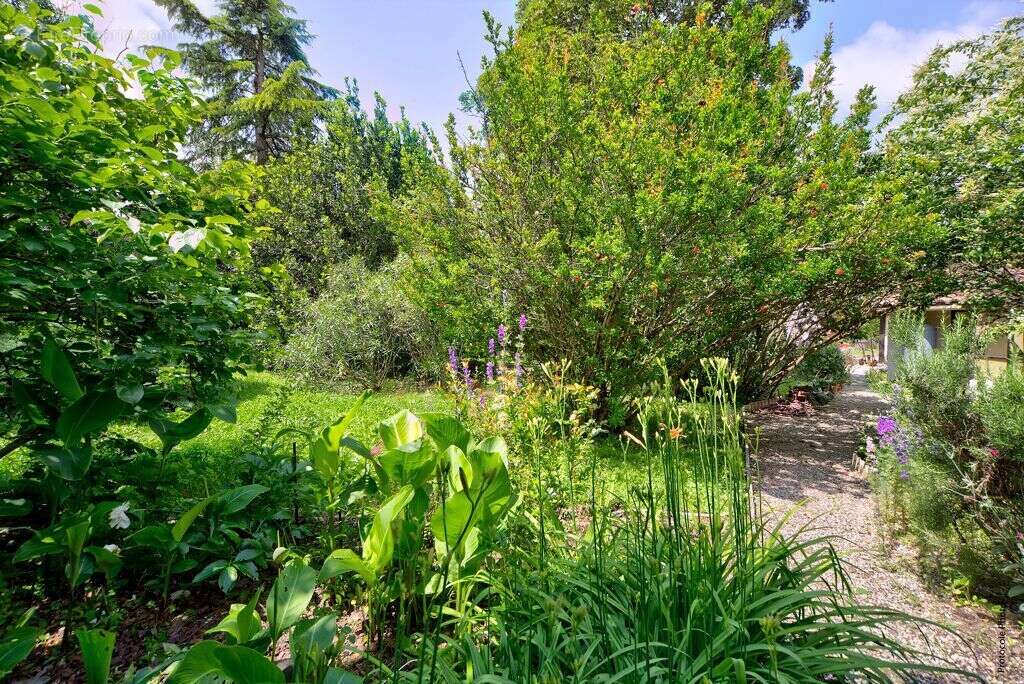 Maison à SAINT-ALBAN