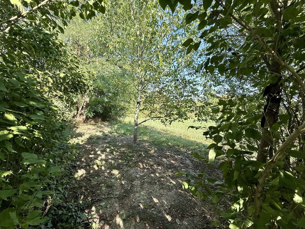 Maison à DUPPIGHEIM