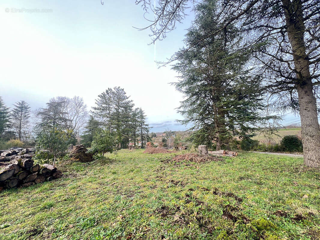 Terrain à AUREVILLE