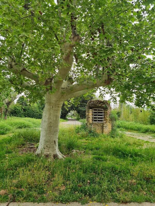 Maison à FOS-SUR-MER