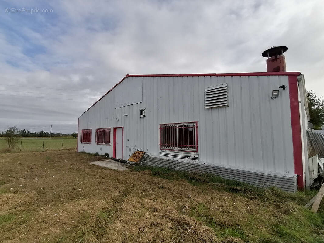 Commerce à MONTAUBAN