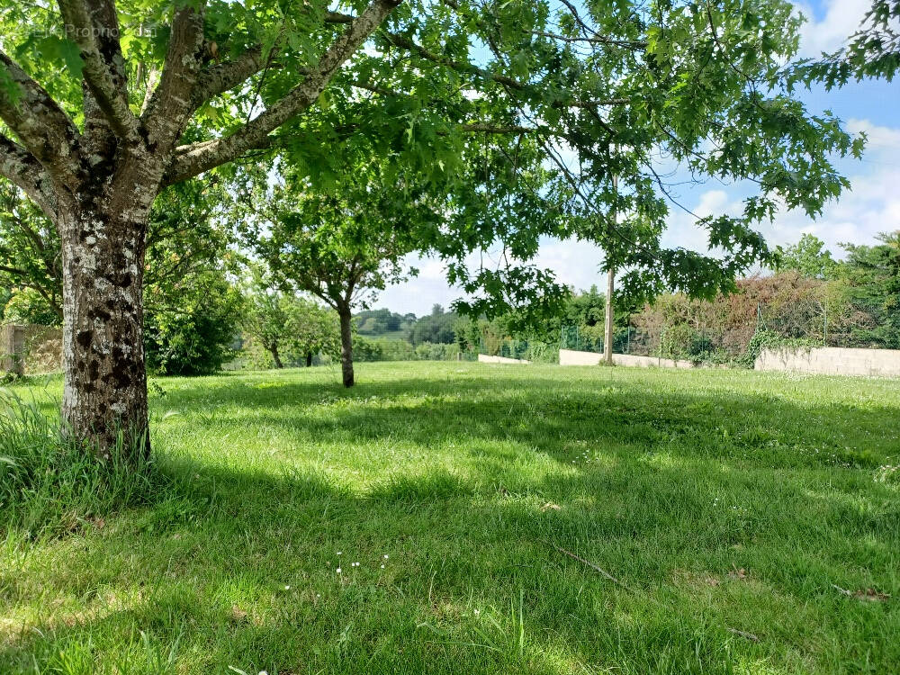 Terrain à SAINT-LYS