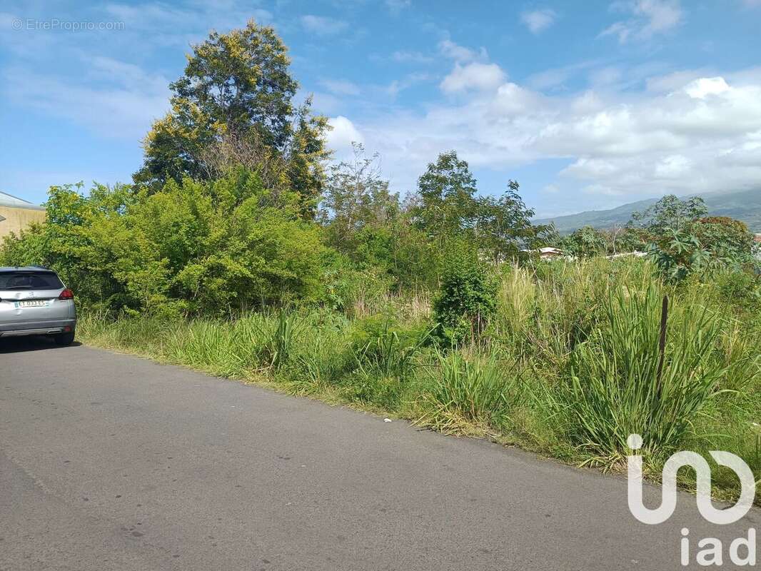 Photo 3 - Terrain à SAINT-LOUIS