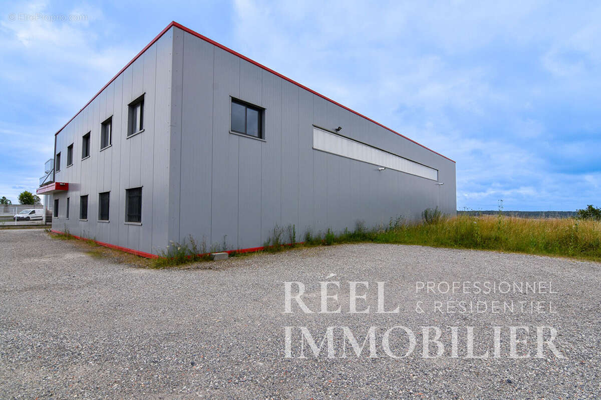 Commerce à L'ISLE-JOURDAIN