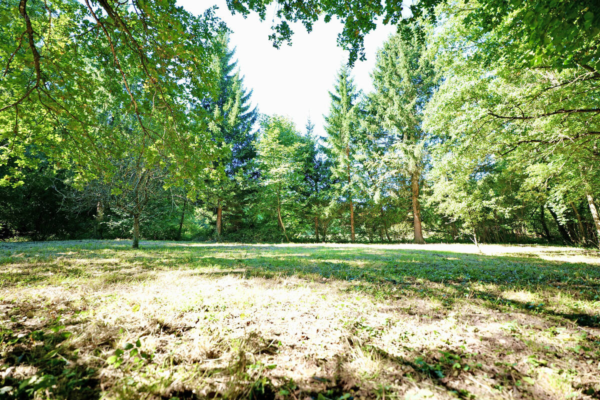 Maison à OBERHASLACH