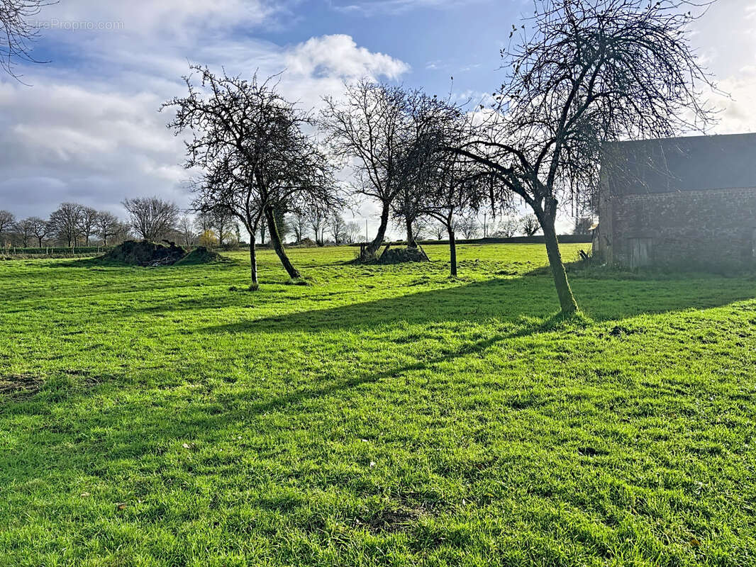 Maison à VILLEDIEU-LES-POELES