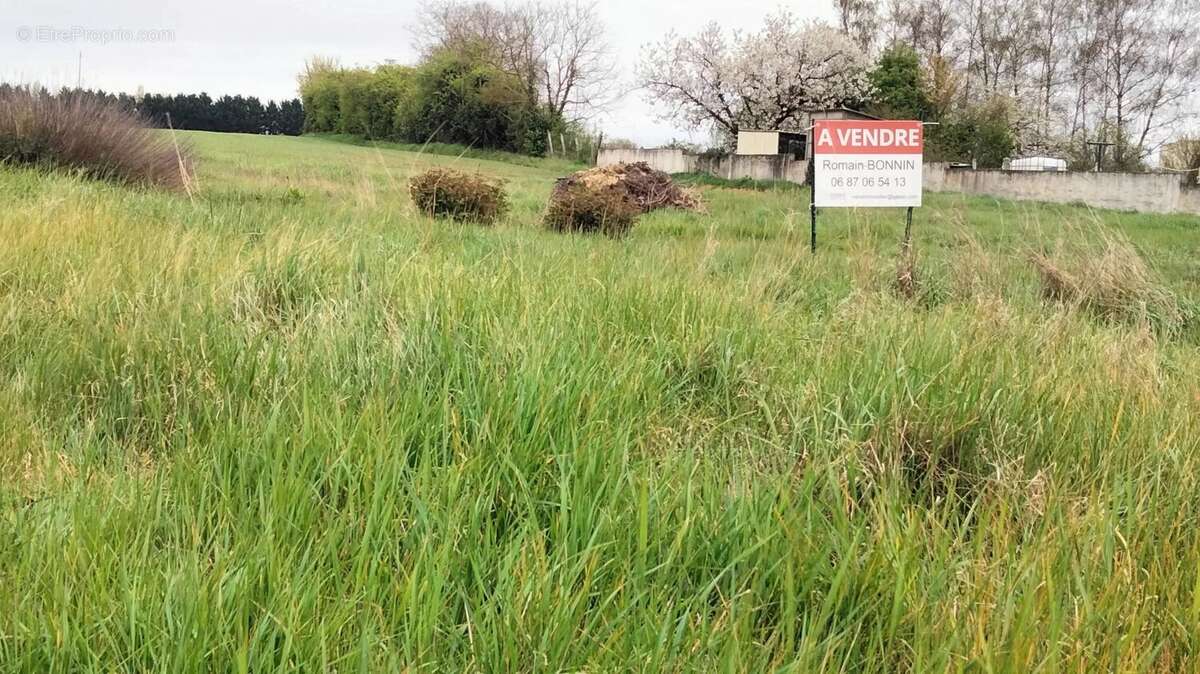 Terrain à NEUVILLE-DE-POITOU