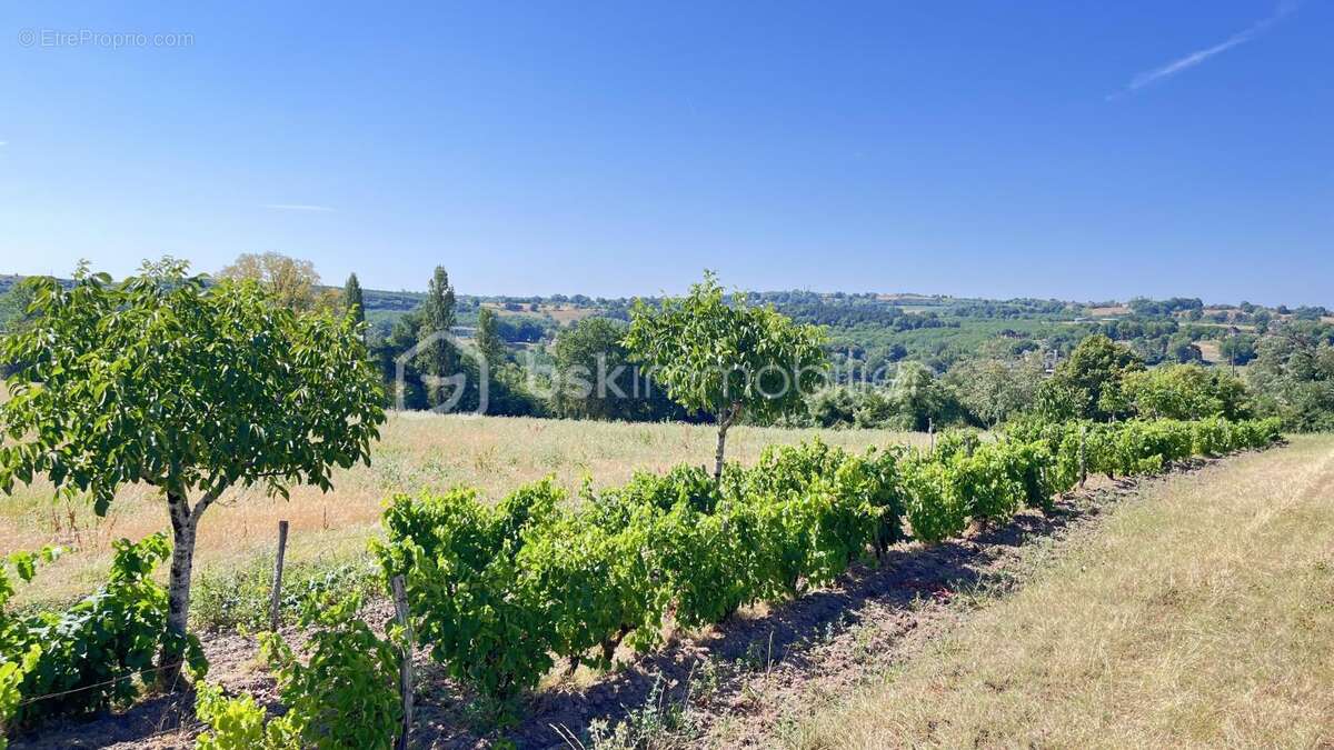 Terrain constructible avec vue panoramique – 3 382 m² – Nailhac (24390) - photo 4