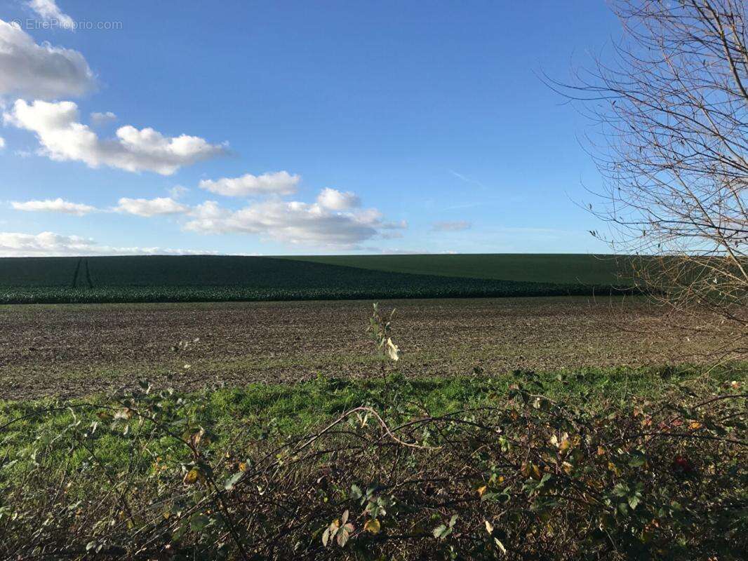 Terrain à JAUX