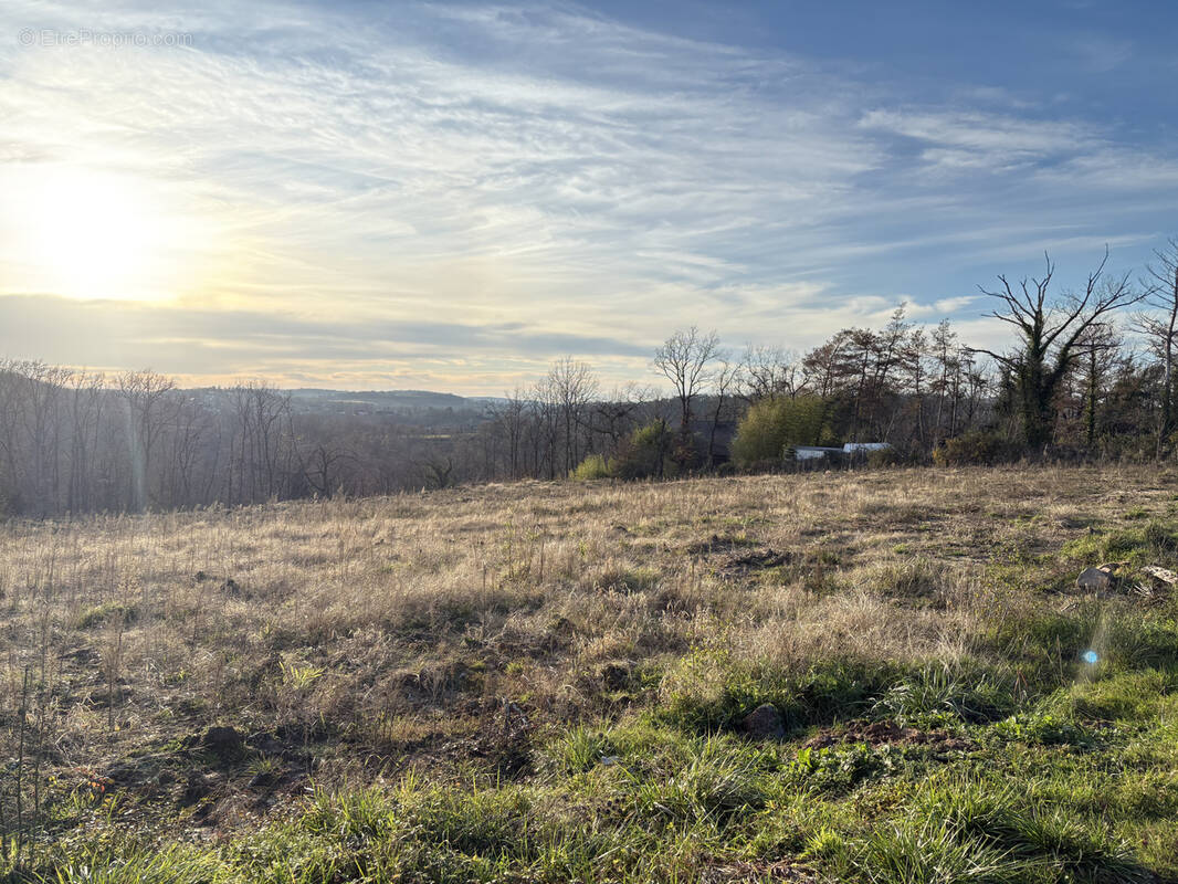 Terrain à BRIVE-LA-GAILLARDE