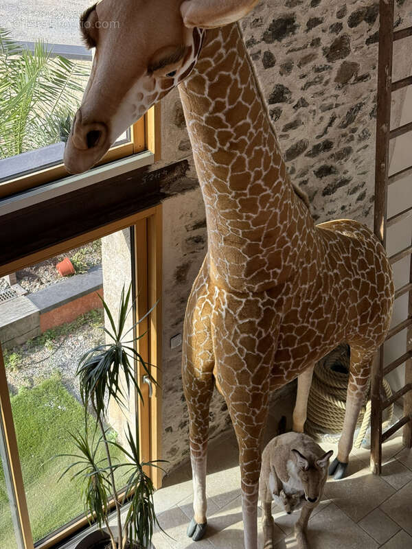 Maison à SAINT-MARS-DE-COUTAIS