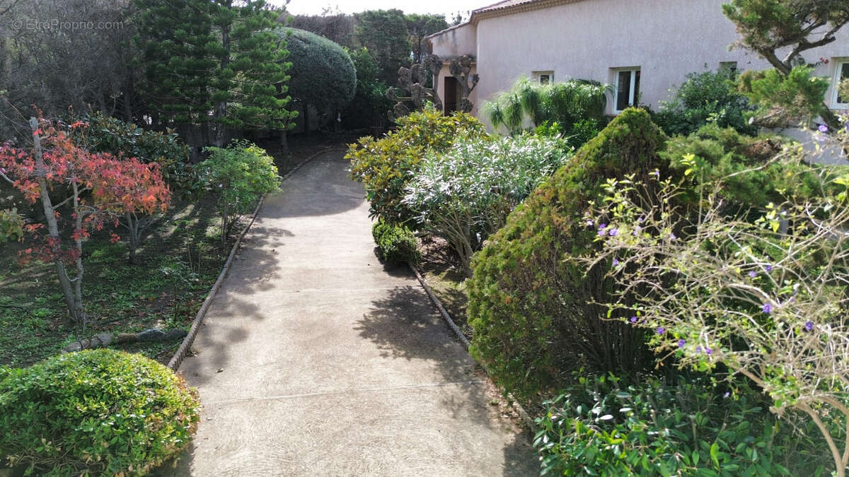 Maison à SARTENE