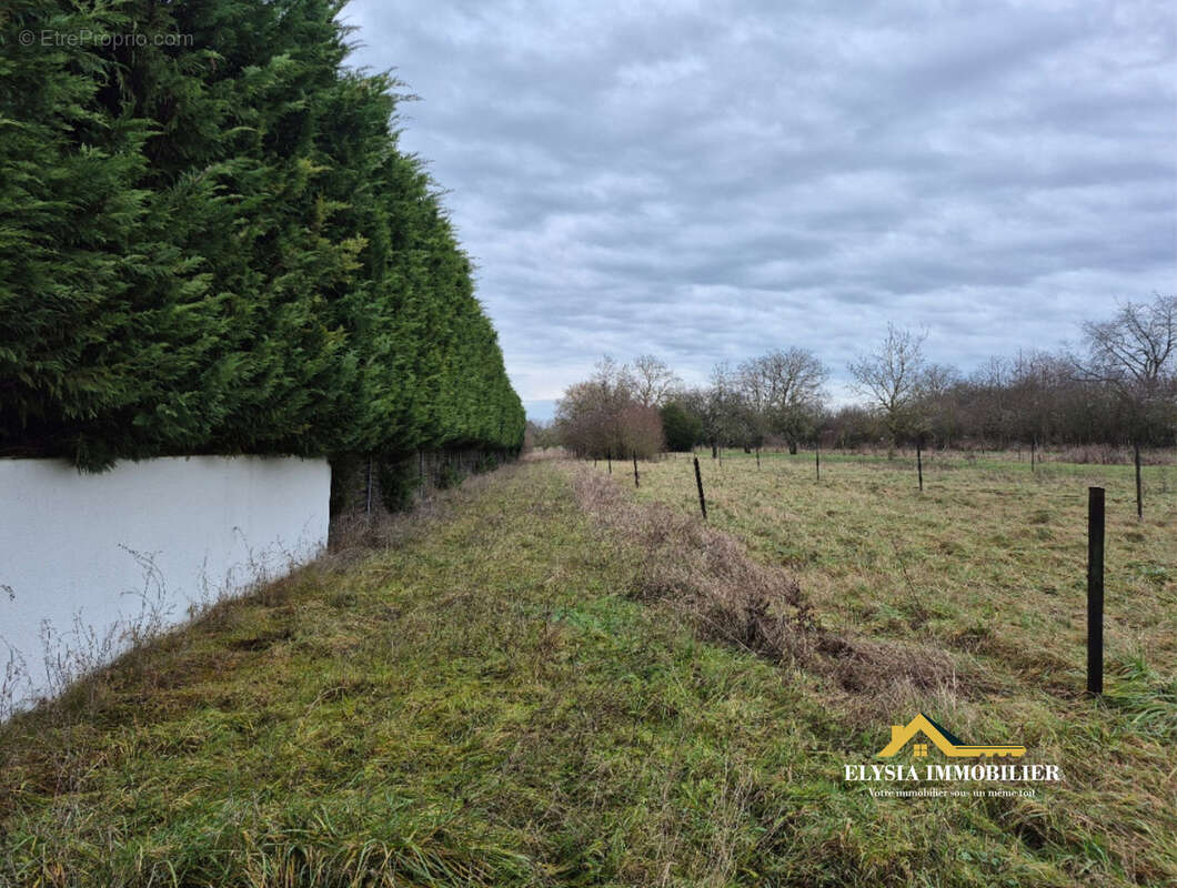 Terrain à VALLEROY