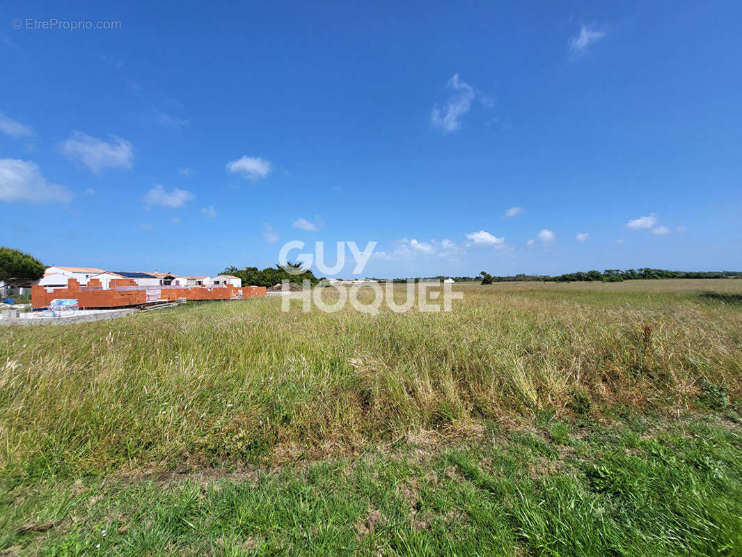Terrain à SAINT-DENIS-D'OLERON