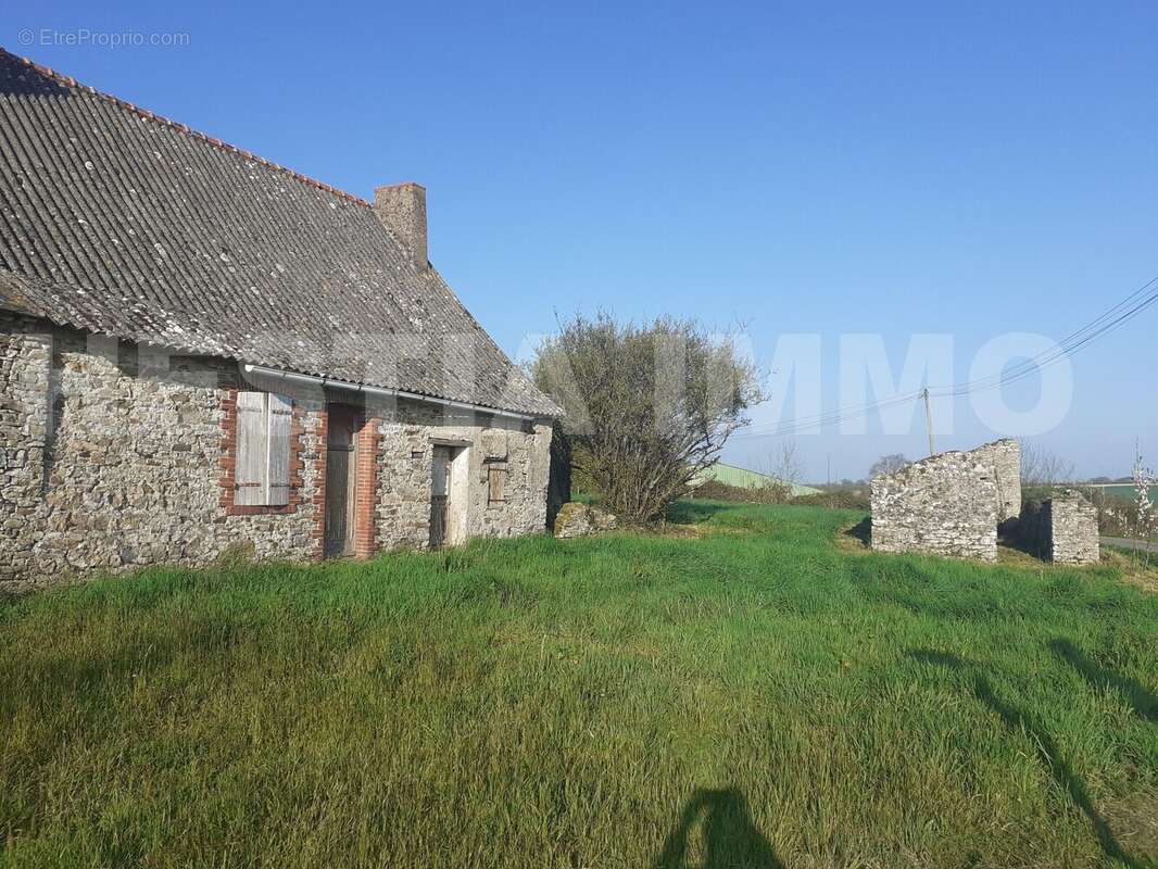 20250327_173742 - Maison à SAINT-GEREON