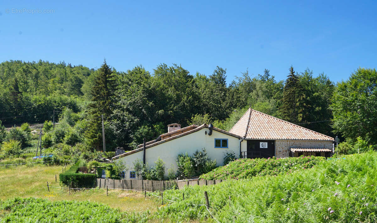 Maison avec restaurant + licence iv - photo 3