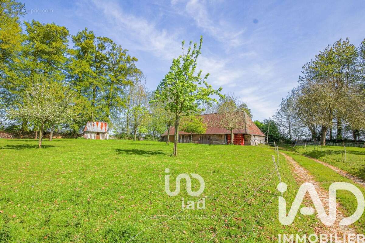 Photo 8 - Maison à FAUVILLE-EN-CAUX