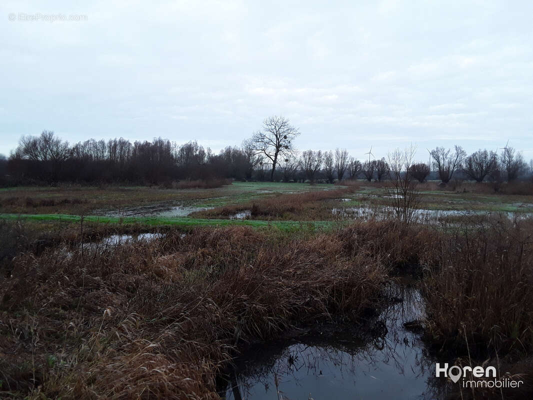 Vallee de l'authie - photo 4