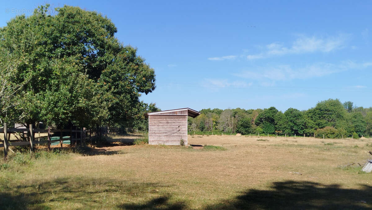 Propriété de caractère avec boxes à chevaux et dépendances - photo 22