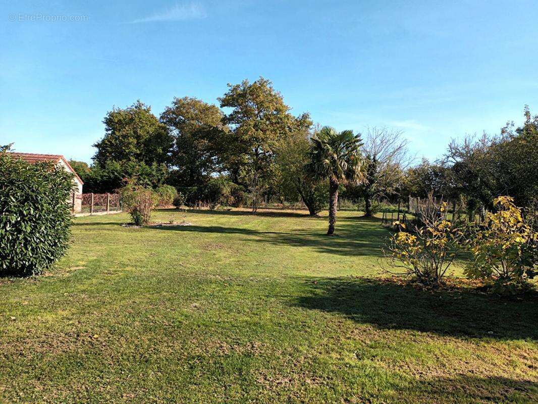 Maison à SAINT-FLORENT