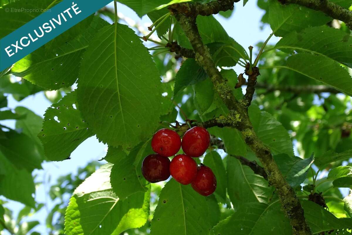 Photo 9 - Maison à BUHL-LORRAINE