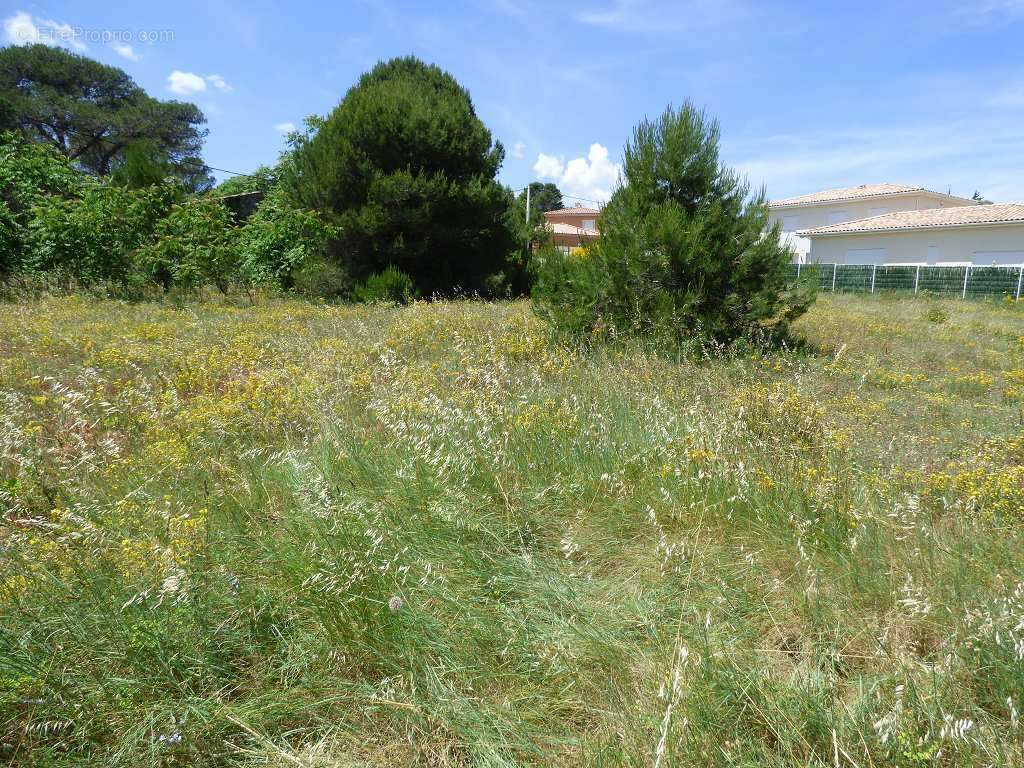 Terrain à CLERMONT-L&#039;HERAULT