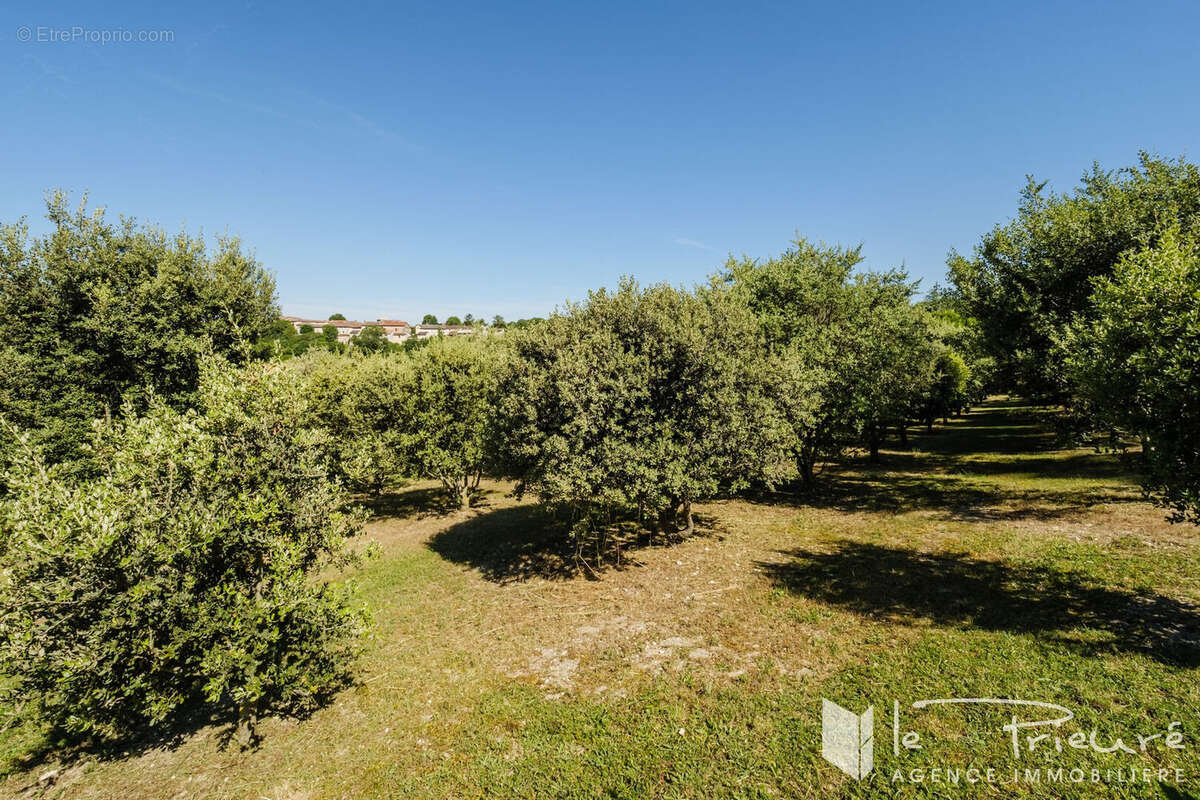 A seulement 10 km d'Albi. Propriété de charme dans un cadre idyllique, 3 habitations, dépendances et 2 hectares de terrain et pi - photo 4