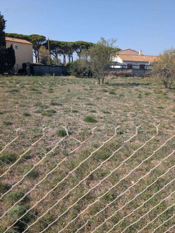 Terrain à SALLELES-D'AUDE
