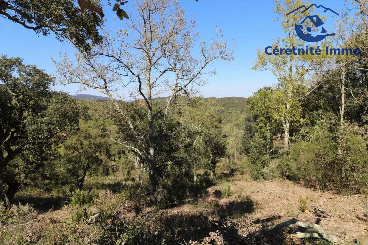 Terrain à TAILLET