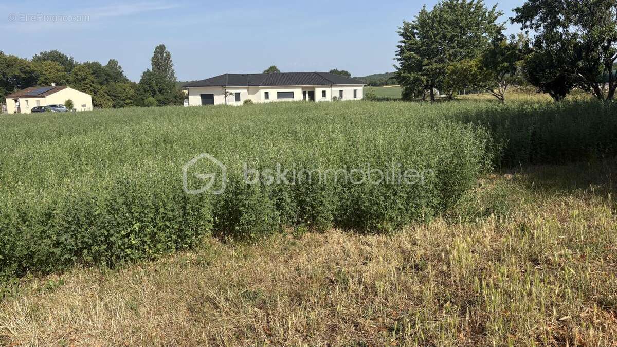 À VENDRE – Terrain constructible de 2 980 m² à Clermont-de-Beauregard (24140) - photo 2