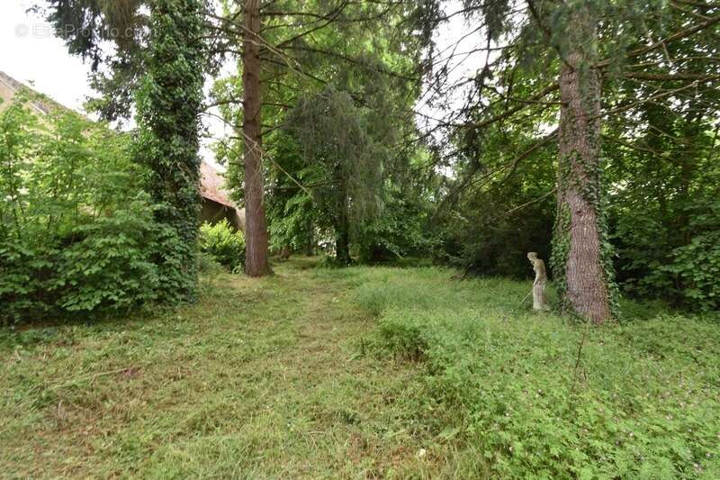 Maison à LE PONT-CHRETIEN-CHABENET