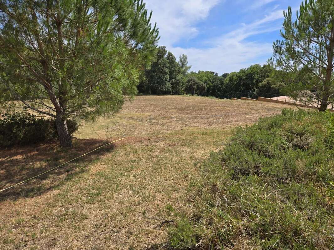 Maison à SOLLIES-PONT