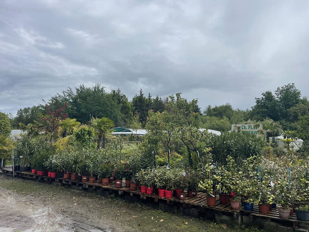 Terrain à SAINT-MEDARD-D'EYRANS