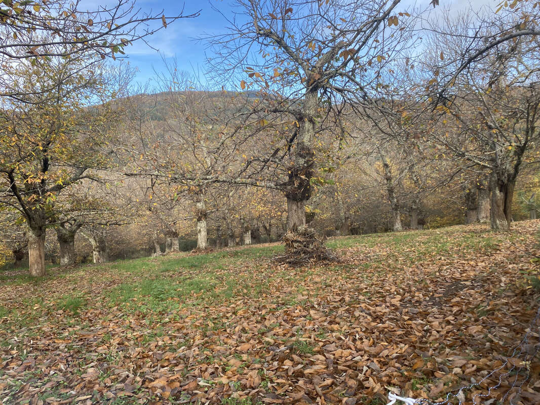 Terrain artisanal + agricole - photo 2