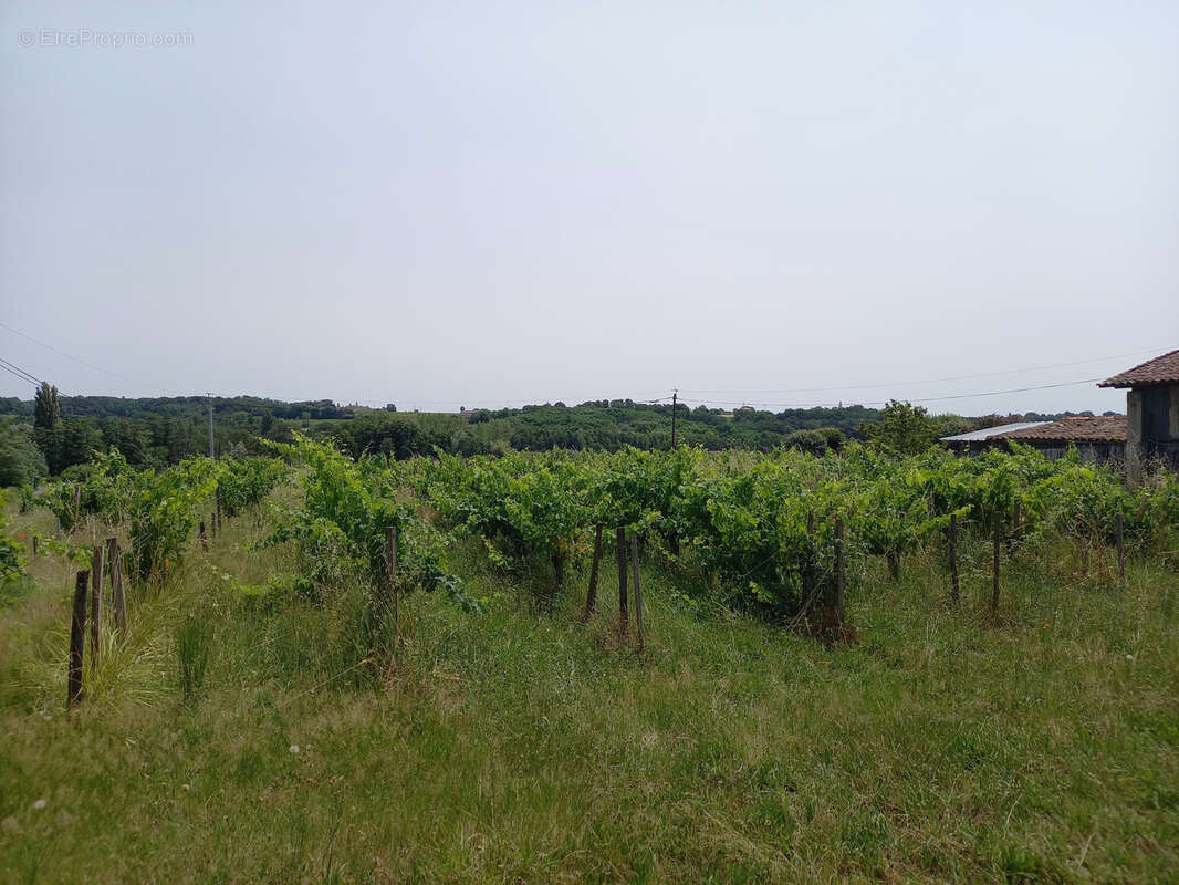 Maison à SAINT-CIERS-DE-CANESSE