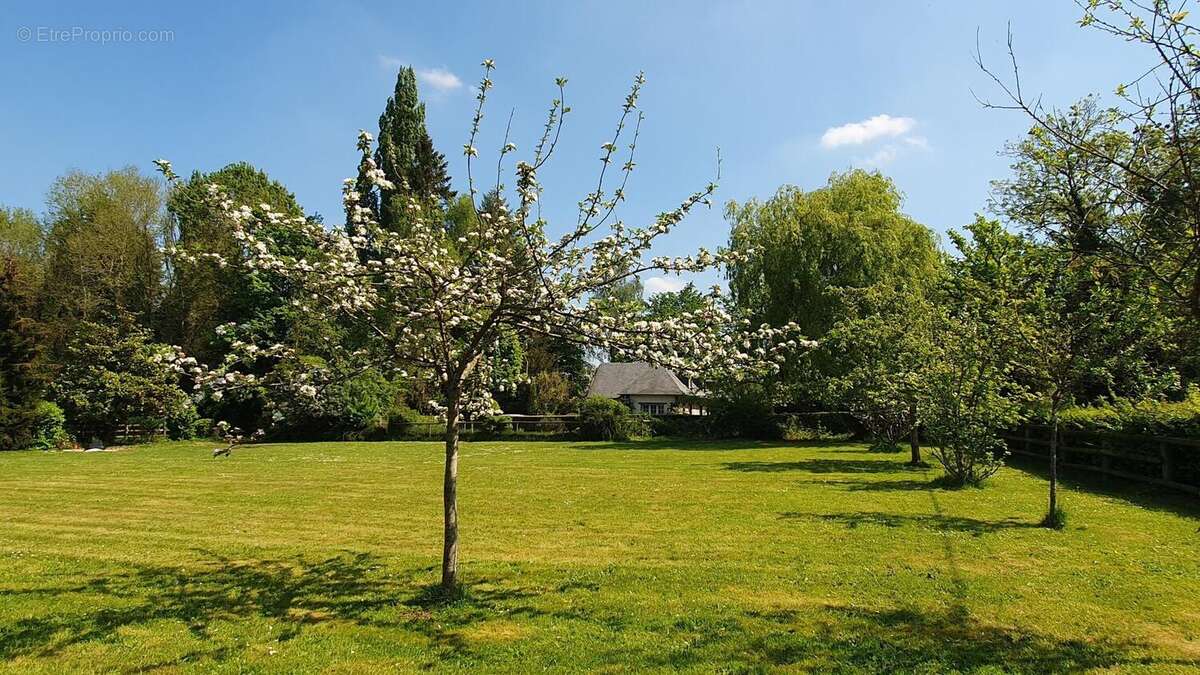 Photo 5 - Maison à PONT-L'EVEQUE