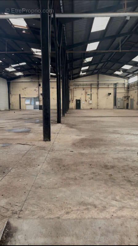 Commerce à DUTTLENHEIM