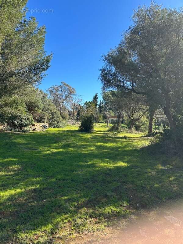 Terrain à LA CADIERE-D'AZUR